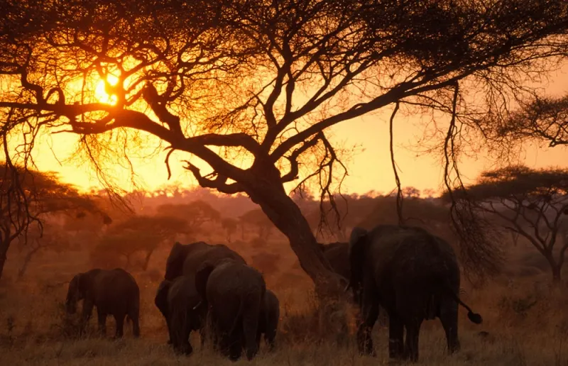 Tarangire National Park